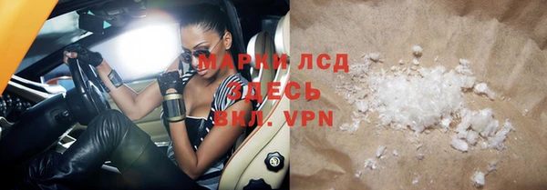 сатива Баксан