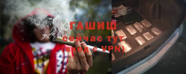 сатива Баксан