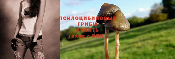 дмт Балабаново