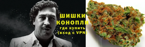 дмт Балабаново